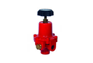 Series 49 – Direct Use Regulators